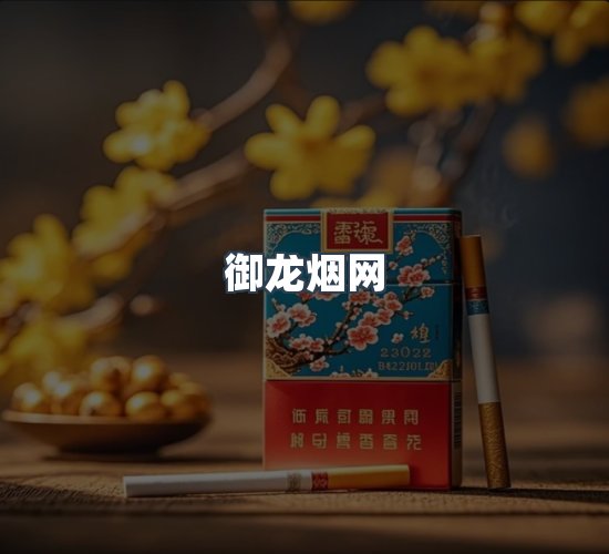 关于御龙烟网